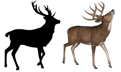 10 Lines on Deer in Hindi