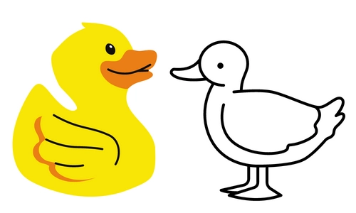 10 Lines on Duck in Hindi & English
