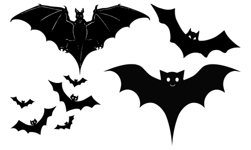 10 Lines on Bats in Hindi & English