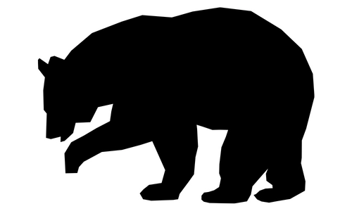 10 Lines on Bear in Hindi & English