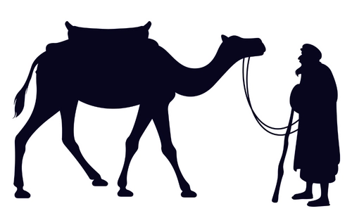 10 Lines on Camel in Hindi & English