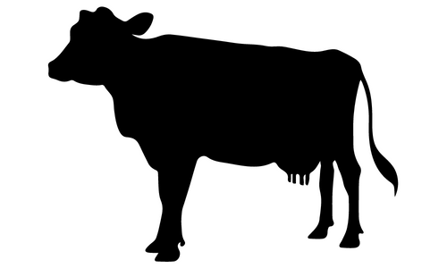 10 Lines on Cow in Hindi