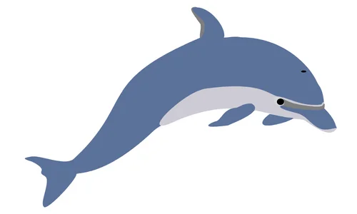 10 Lines on Dolphin in English