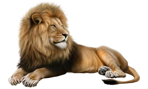 10 Lines on Lion in Hindi & English