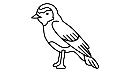 10 Lines on Sparrow Bird in Hindi & English