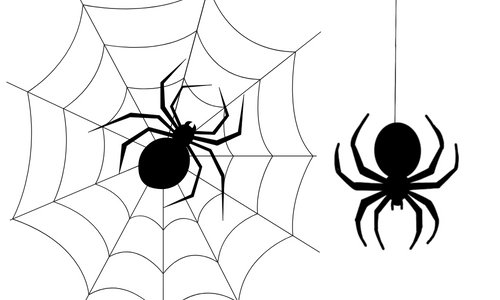 10 Lines on Spider in Hindi