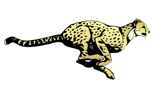 5 Lines on Cheetah in English | Short Essay on Cheetah