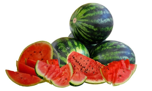 10 Lines on Watermelon in English