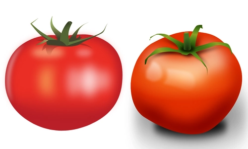 10 Lines on Tomato in English