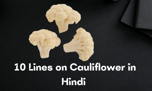 10 Lines on Cauliflower in Hindi