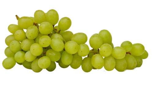 10 Lines on Grapes in Hindi