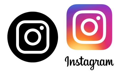 10 Lines on Instagram in English