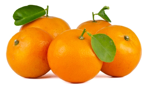 10 Lines on Orange Fruit in Hindi