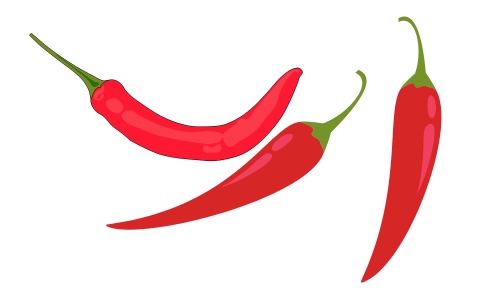 10 Lines on Chilli in Hindi