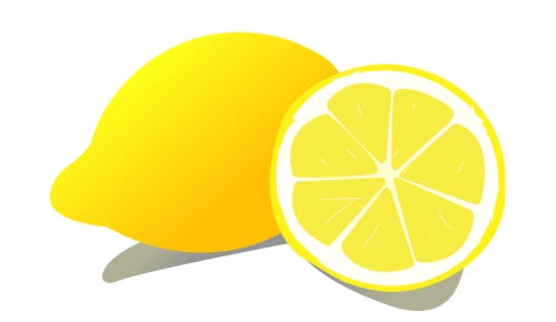 10 Lines on Lemon in Hindi